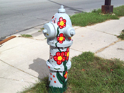 Red Flowers -Kenilworth and Ardmore